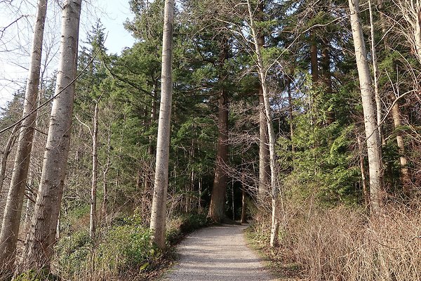 Lake Padden Park Bellingham - 7