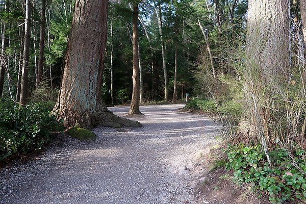Lake Padden Park Bellingham - 8