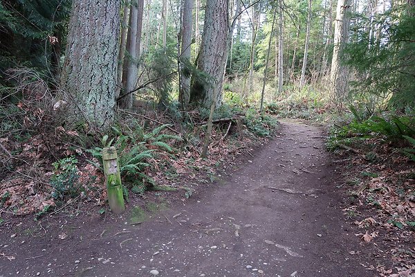 Lake Padden Park Bellingham - 31