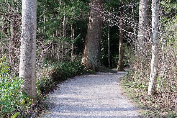 Lake Padden Park Bellingham - 6