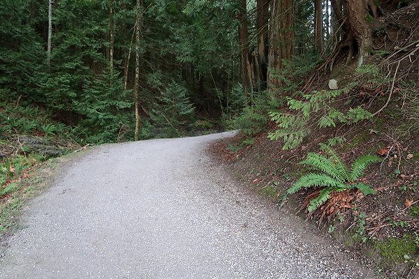 Lake Padden Park Bellingham - 75