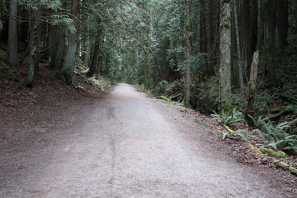Lake Padden Park Bellingham - 100