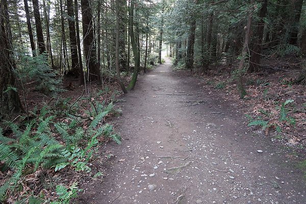 Lake Padden Park Bellingham - 34