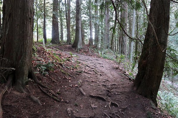Lake Padden Park Bellingham - 88