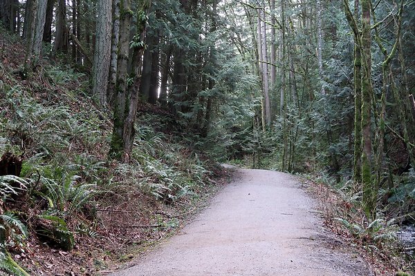 Lake Padden Park Bellingham - 104