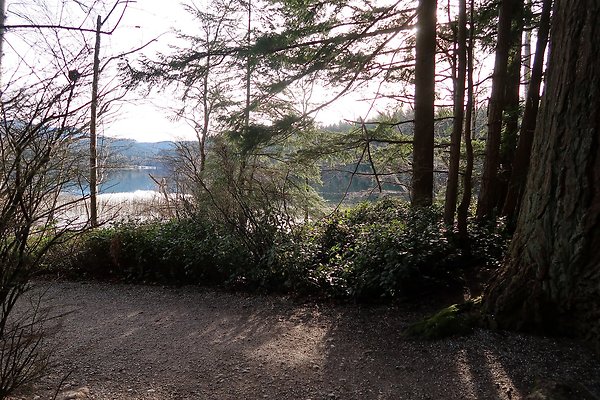 Lake Padden Park Bellingham - 9