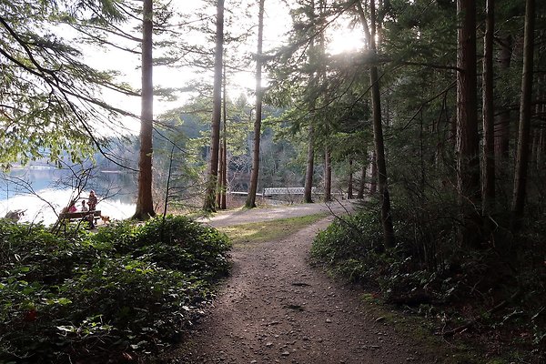 Lake Padden Park Bellingham - 51