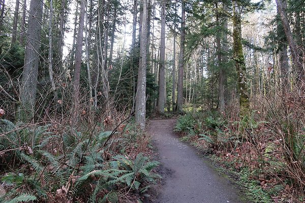 Lake Padden Park Bellingham - 25