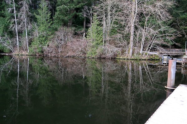 Lake Padden Park Bellingham - 65