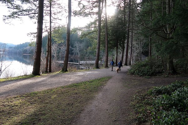 Lake Padden Park Bellingham - 52