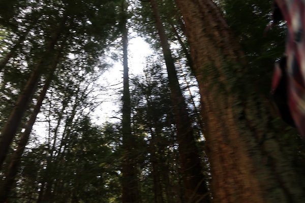 Lake Padden Park Bellingham - 44