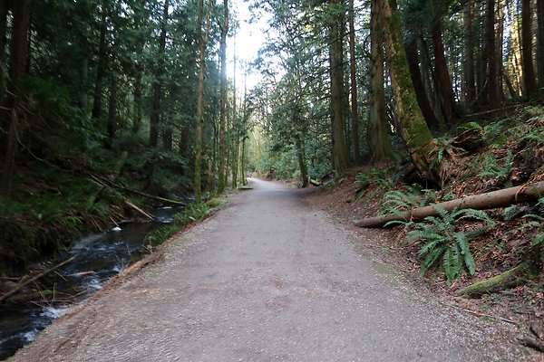 Lake Padden Park Bellingham - 82