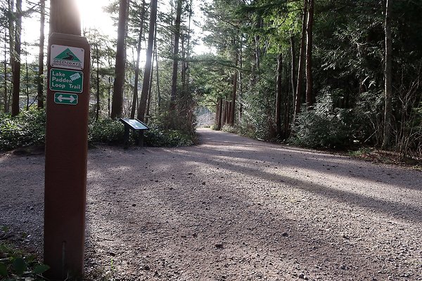 Lake Padden Park Bellingham - 14