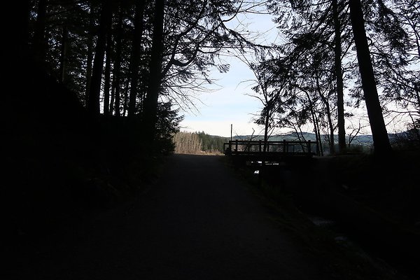 Lake Padden Park Bellingham - 106