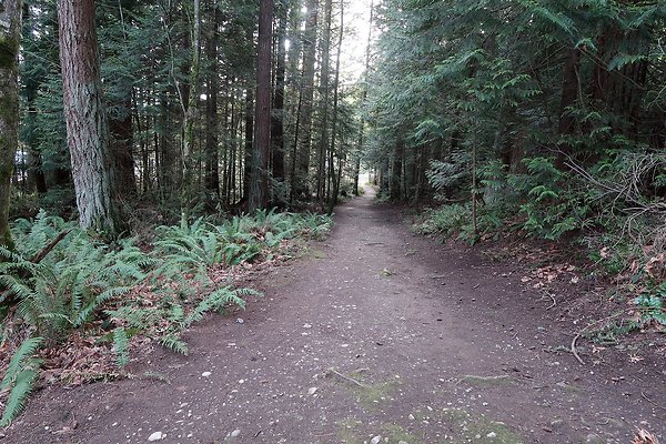 Lake Padden Park Bellingham - 29