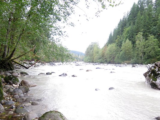 Backman county park snohomish - 36