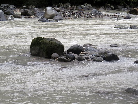 Backman county park snohomish - 47