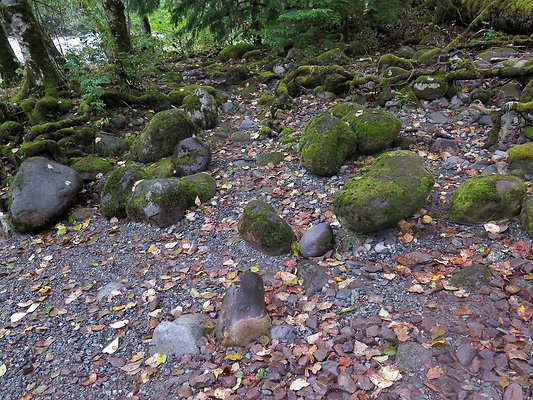 Backman county park snohomish - 23