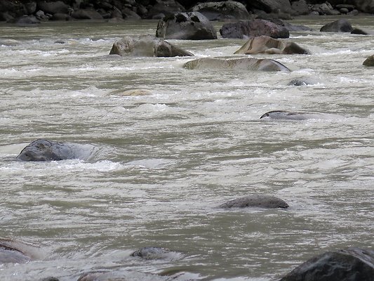 Backman county park snohomish - 48