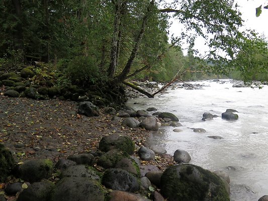 Backman county park snohomish - 45
