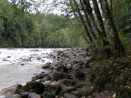 Backman county park snohomish - 32