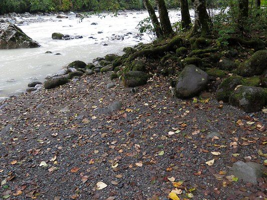 Backman county park snohomish - 22