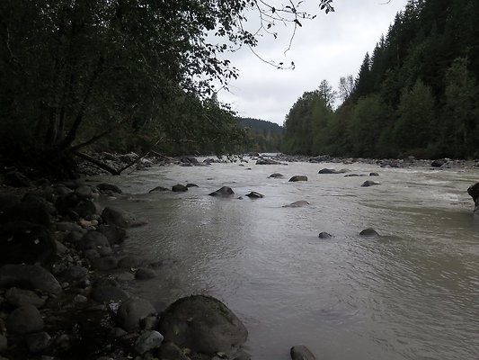 Backman county park snohomish - 43