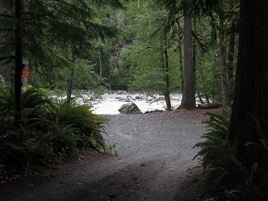 Backman county park snohomish - 9