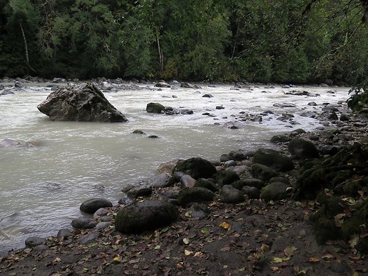 Backman county park snohomish - 27