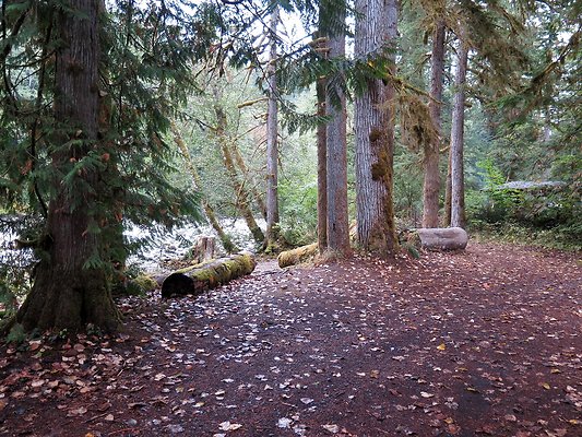 Backman county park snohomish - 57