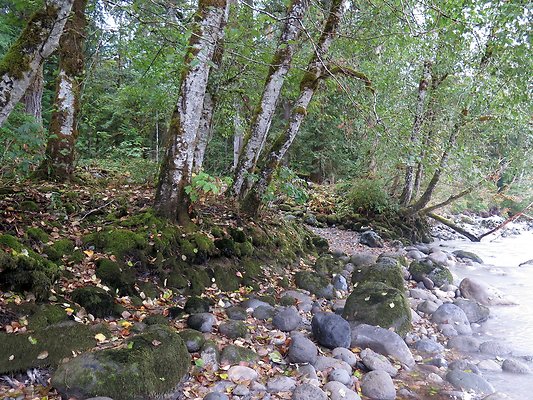 Backman county park snohomish - 34