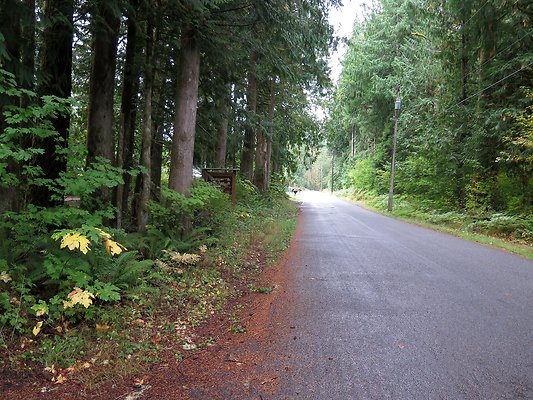 Backman county park snohomish - 6