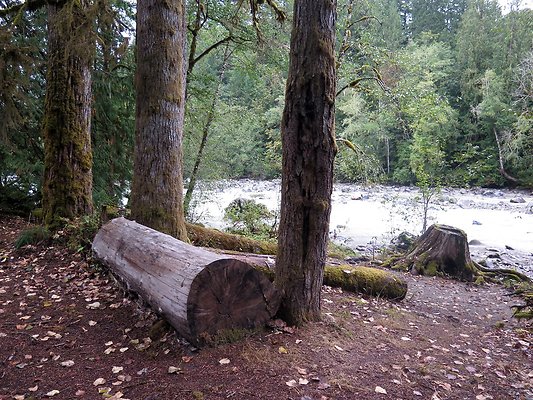 Backman county park snohomish - 65