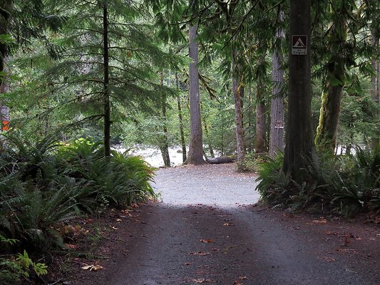 Backman county park snohomish - 7