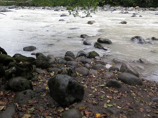 Backman county park snohomish - 26
