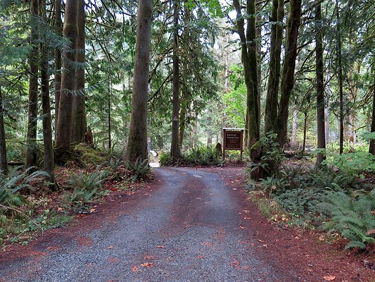 Backman county park snohomish - 4