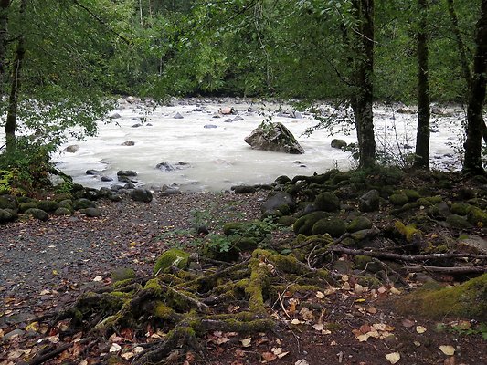 Backman county park snohomish - 69