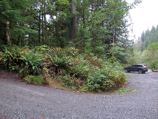 Backman county park snohomish - 11