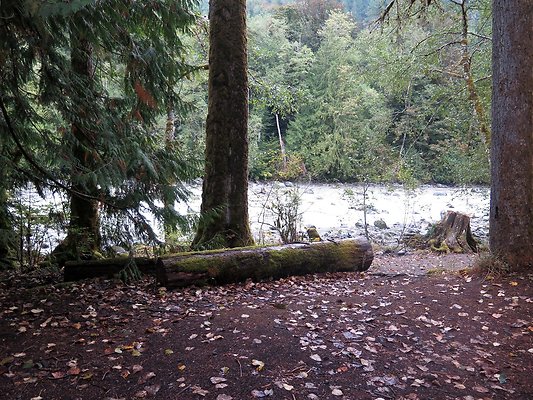 Backman county park snohomish - 60