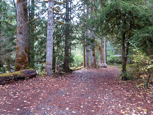 Backman county park snohomish - 56