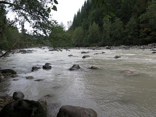 Backman county park snohomish - 46