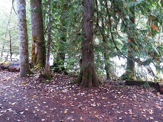 Backman county park snohomish - 59