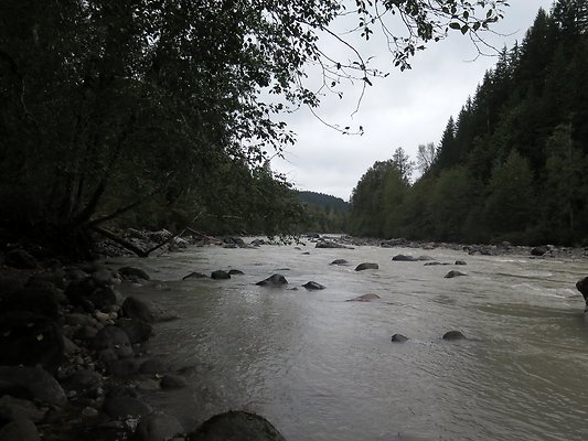 Backman county park snohomish - 37
