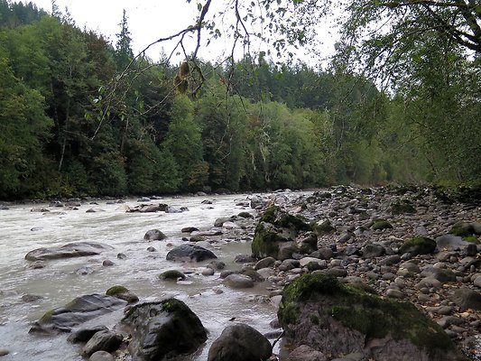 Backman county park snohomish - 41