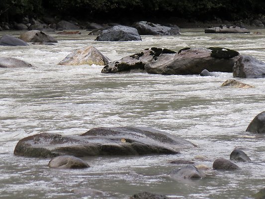 Backman county park snohomish - 49