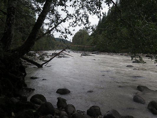 Backman county park snohomish - 28