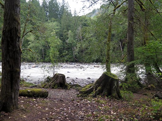 Backman county park snohomish - 66