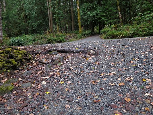 Backman county park snohomish - 25
