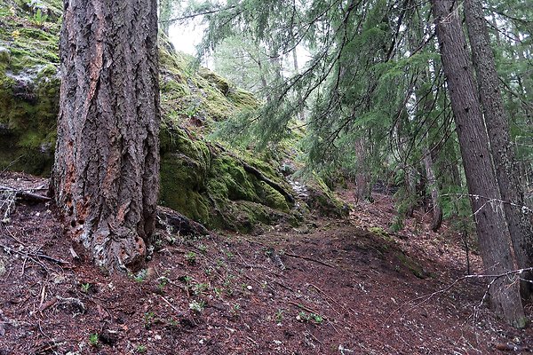 Kachess Lake 2024 - 62