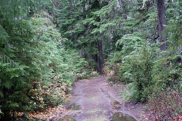 Kachess Lake 2024 - 75